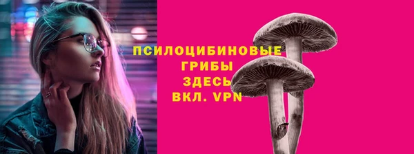 2c-b Абаза