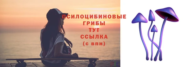 стаф Абдулино